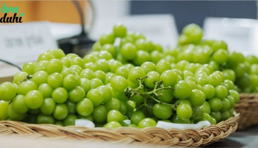 thực phẩm cấm mang vào Thái Lan nên CẨN THẬN