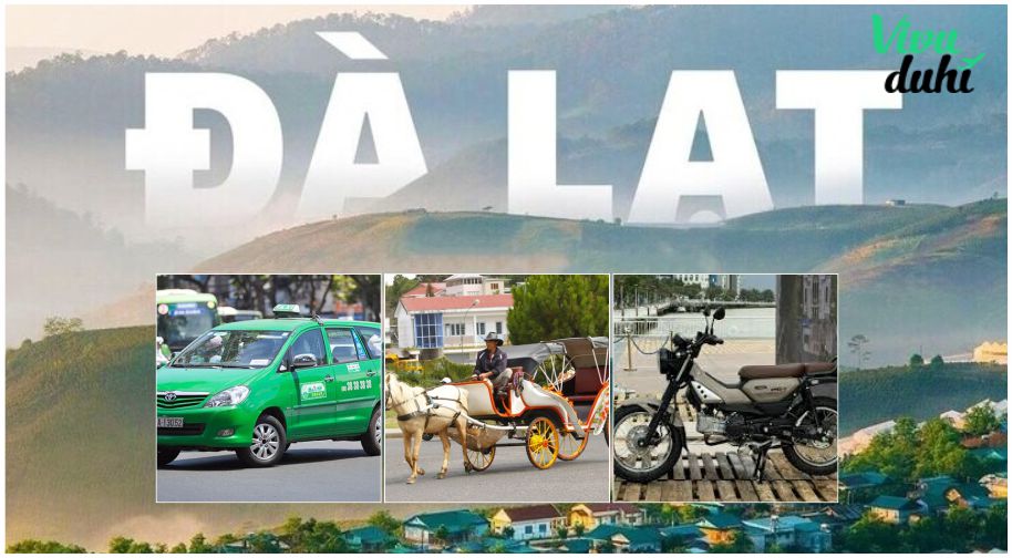 Chi phí di chuyển tại Đà Lạt trong thời gian 4 ngày 3 đêm. Chi phí di chuyển tại Đà Lạt trong thời gian 4 ngày 3 đêm.