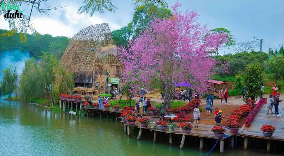 Tour Đà Nẵng - Măng Đen 3 ngày 2 đêm