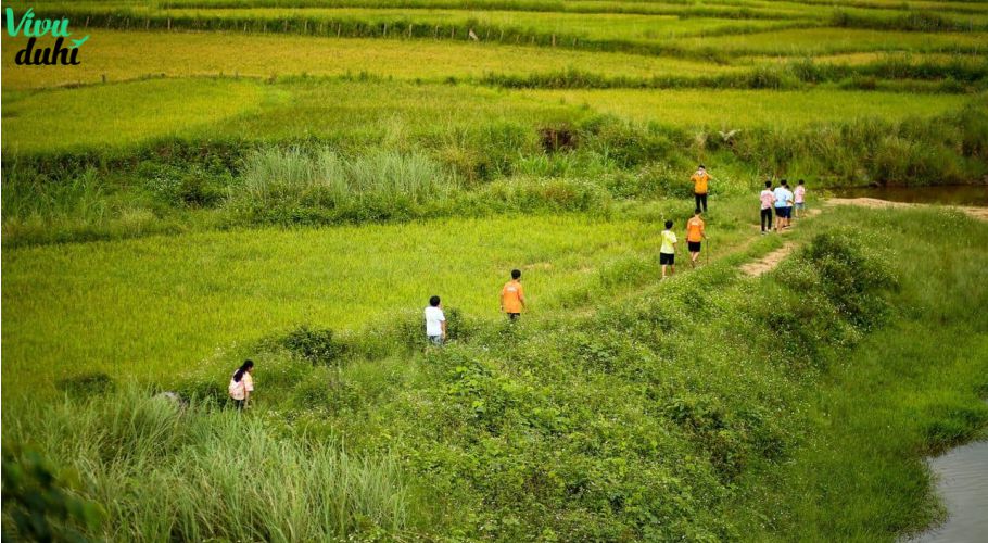 Tour Đà Nẵng - Măng Đen 2 ngày 1 đêm