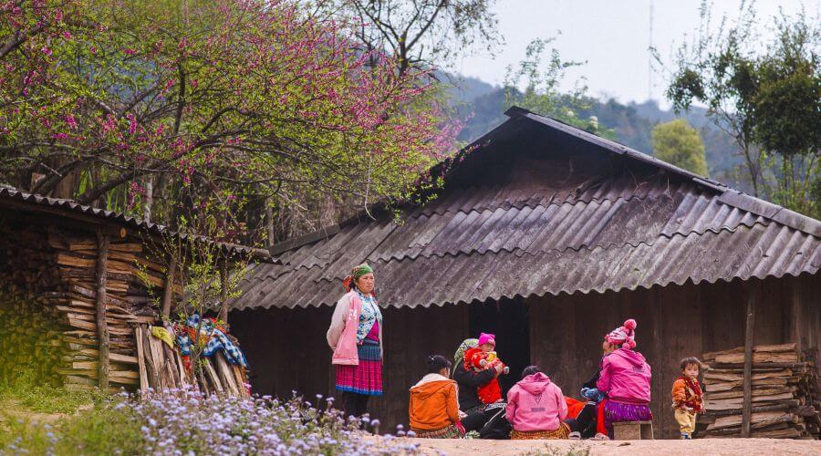 Khám phá bản làng và văn hóa người Mông
